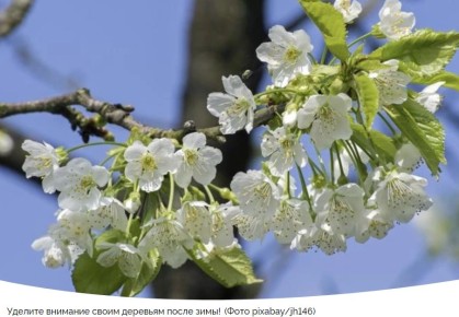 �������� ���� �� ������: ������� ��� �������� ������