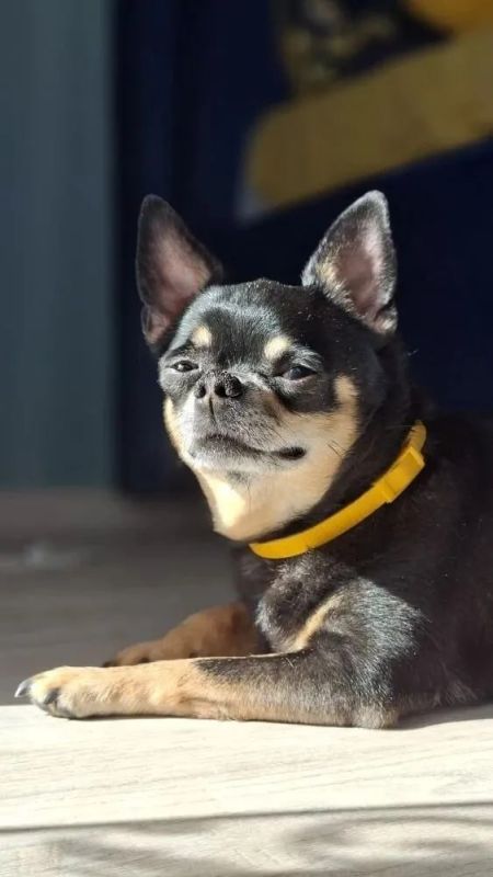 ������ � ����������� ����. ���������