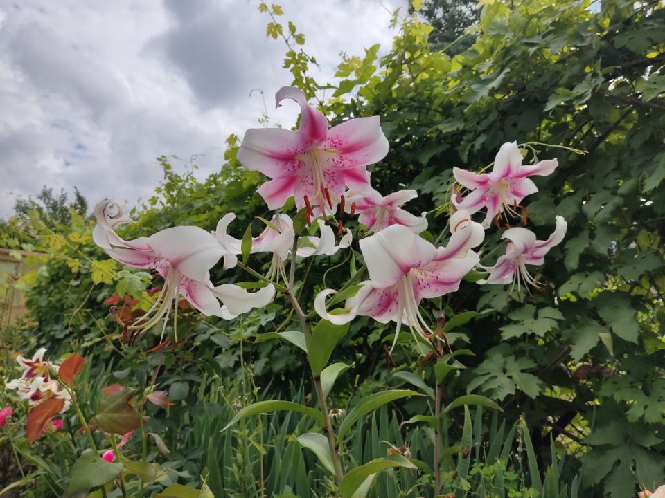 ����� ����: �������� ������� � ��������� ��� ��������� �����