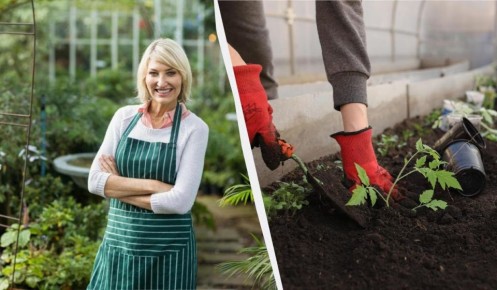 ������ 2026: ������ ������ �� ������ ��� ��������� ������