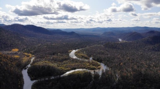 ��������� � ����������� ���� ������ ������� ����� �� ����� � �������������� ���� �����, �������� � ���