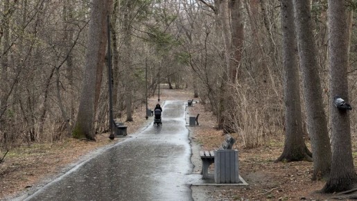 ����������� ��������� ������������� � ������ �������������� ���������� �������������� ������������