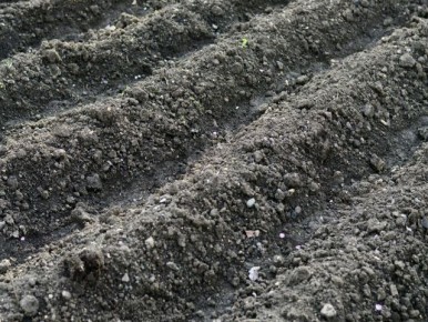 ������������� �����: ���� � �������� ���������