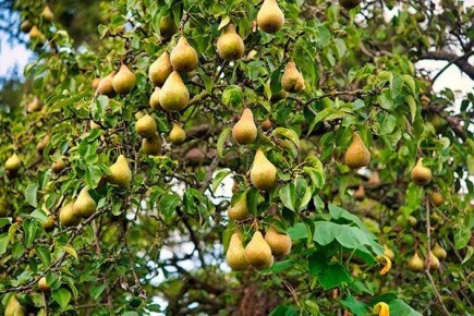 ���������� ����� �������: �� ������������ ������ �� ����������� ��������������