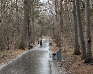 �� ��������������� ������������ ��������� ��������� ����� �������� ��������� ������