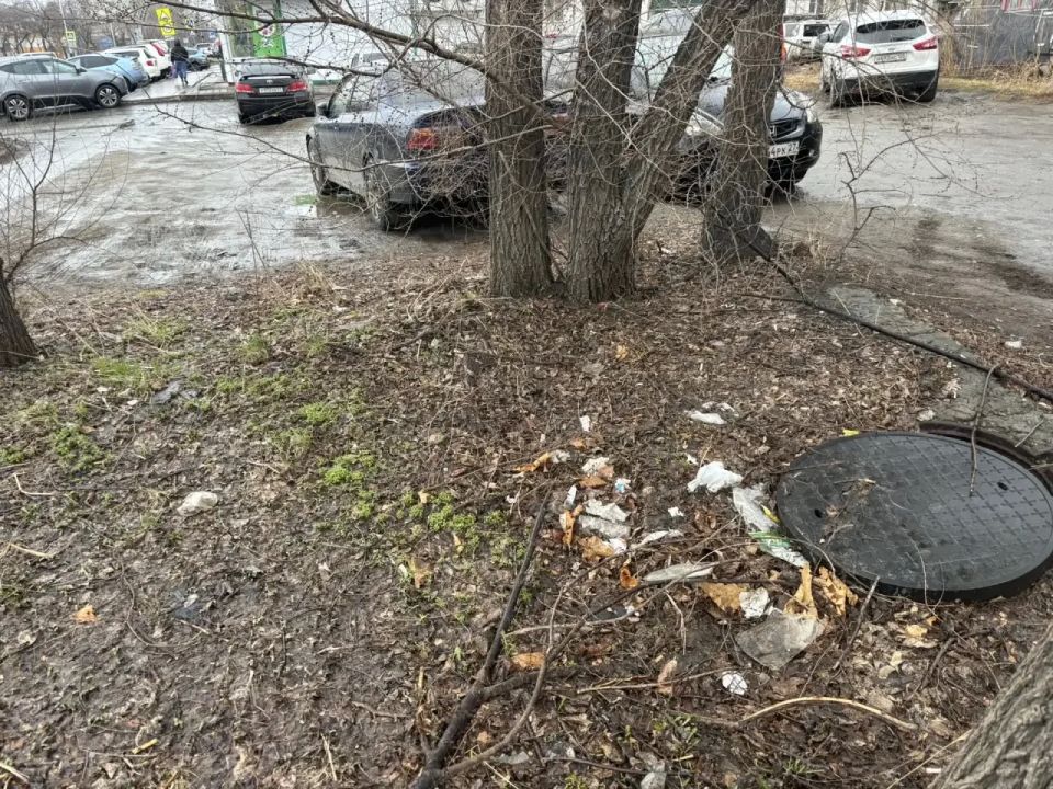 ����� ������ ���������� �������� ��������� ������� � ������������� ����������