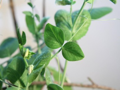 ������� ����� � ����� �������: ������� ��������� ����� � �������� ������