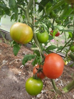 ������ ������� F2: ����� �� ������������� � ����������������?