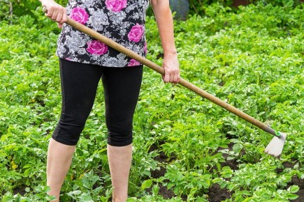 ��� ������� ��������� ��� ������������� ������: ������ � ������������