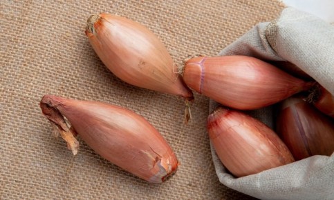 ��� ��������� ��� � �������� �� �����: ������ ������