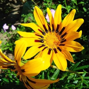 �������: ��������� ���������, ������� ����� ���� � ����