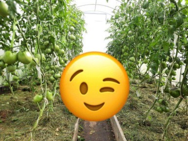 �������: ������ �� ��������� �� ����������������