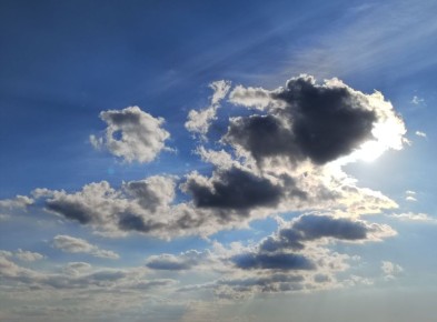 ������ � ����������� ����. ���������