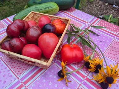 ��� ��������: �������� ��� ����������? ����� � ����� � ������ ���������