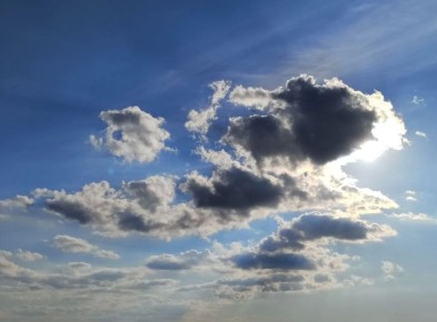 ������ � ����������� ����. ���������