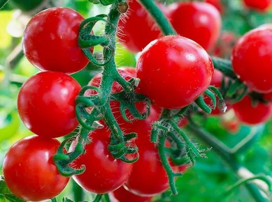 �������� ����: ��������� ������� � ������ � ����������� �� �������