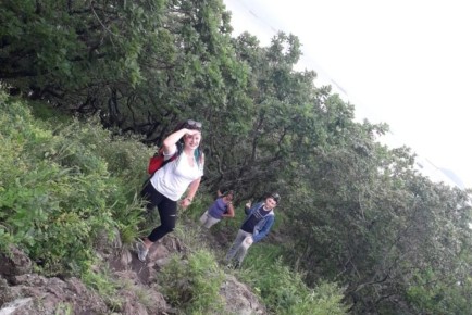 ��� �������� ������������ �������� � ����������� ����