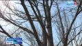 ��� ��������� �������: �������� ���� ���� ����������� ���������������� ������ � ������� ������