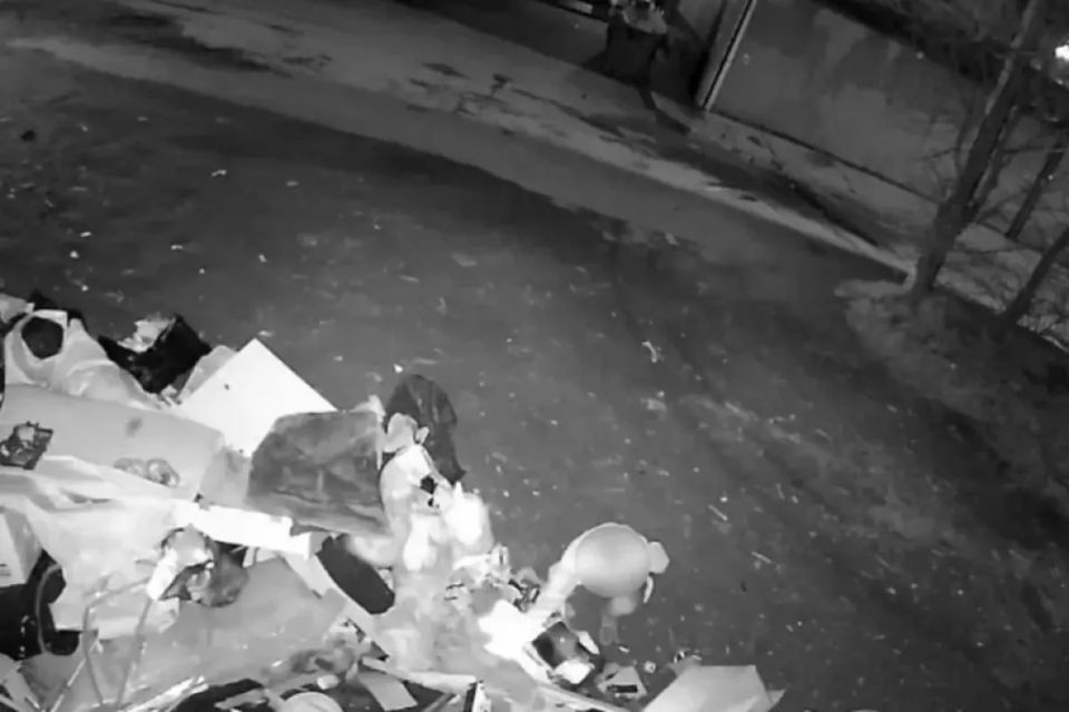 Хабаровчанин сжёг контейнерную площадку для мусора и погрозил камере кулаком Хабаровчанин сжёг контейнерную площадку для мусора и погрозил камере кулаком