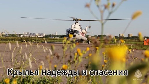 ���� ������� ��� ������. ������� ����������� ������������� ������������� ������������ �������� ���� ���������������� ��������