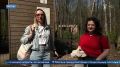 Сразу в нескольких российских регионах ведут активную борьбу с природными пожарами