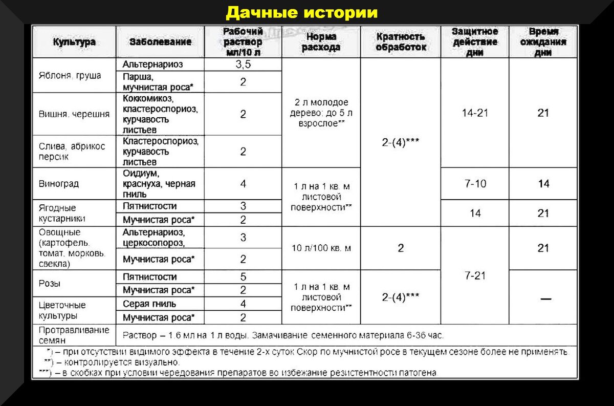 Ответы на вопросы дачников: советы от экспертов для успешного выращивания