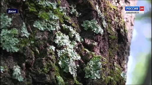 ������������� ���������� ��������������� � ����������� ����