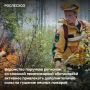Сегодня среди всех регионов России наиболее сложная лесопожарная обстановка отмечается на территории Еврейской автономной области, Амурской области и Хабаровского края