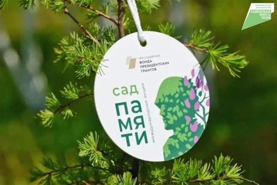 3,5 тысячи саженцев кедра корейского посадят под Хабаровском в рамках международной акции «Сад Памяти»