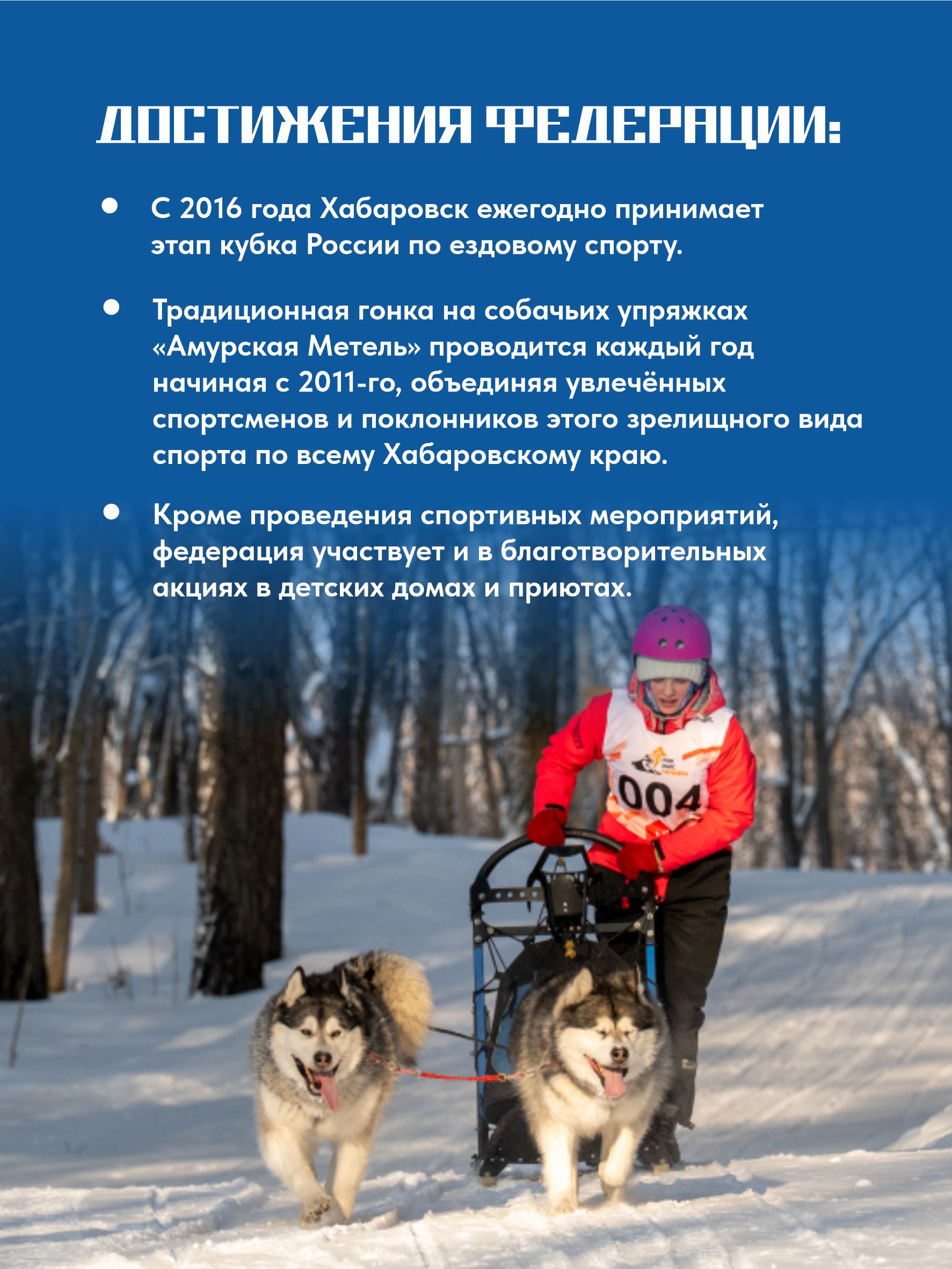 Знакомим вас с краевой федерацией ездового спорта Знакомим вас с краевой федерацией ездового спорта