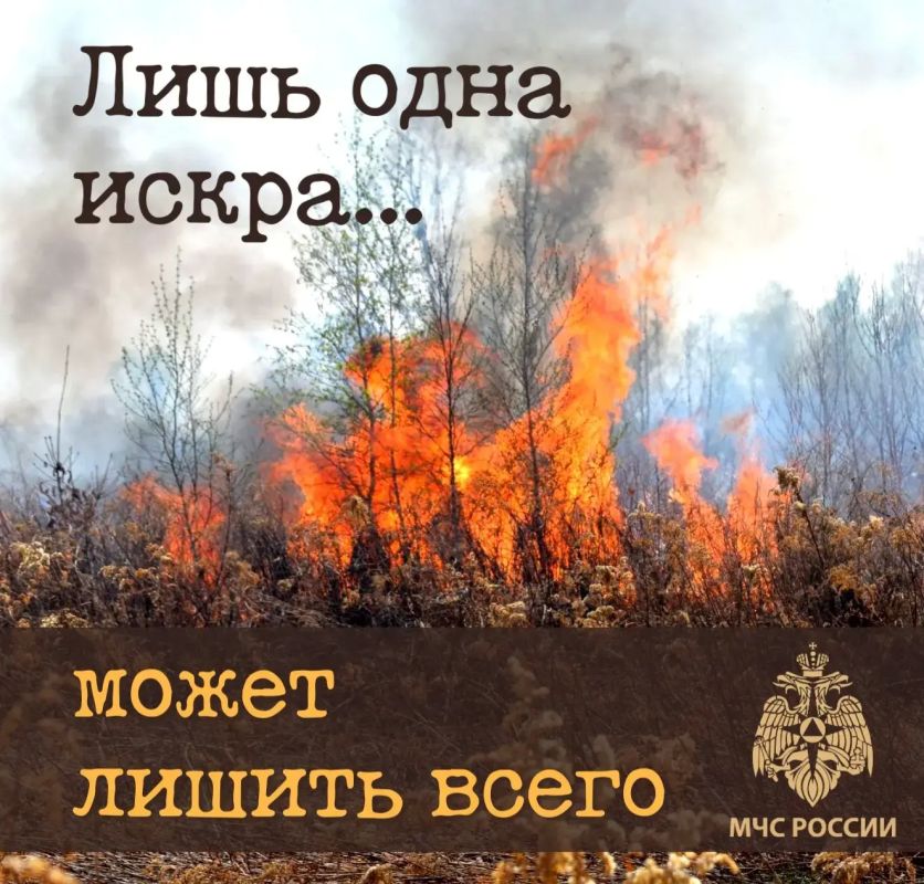 В 6 муниципальных образованиях Хабаровского края сохраняется высокий класс пожарной опасности в лесах