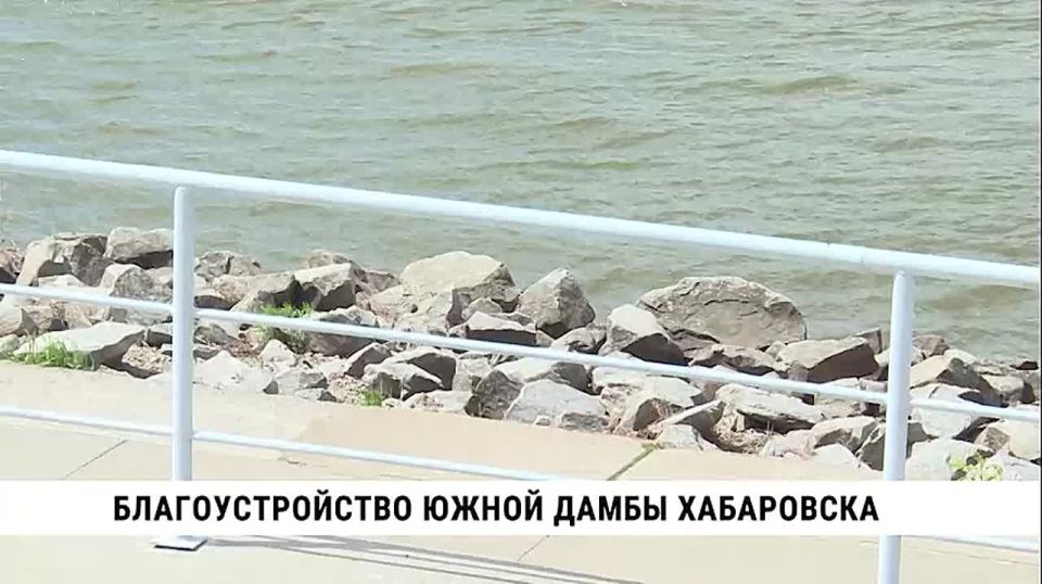 Дамбу Южного округа проинспектировали губернатор Дмитрий Демешин и депутат Госдумы Максим Иванов