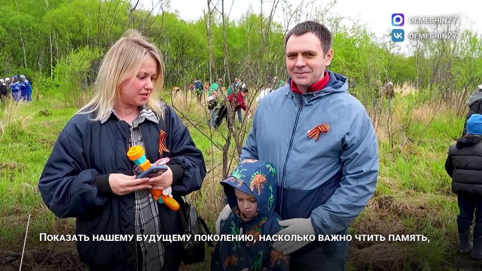Дмитрий Демешин: 3,5 тысячи сеянцев корейского кедра мы высадили в окрестностях поселка Корфовский под Хабаровском