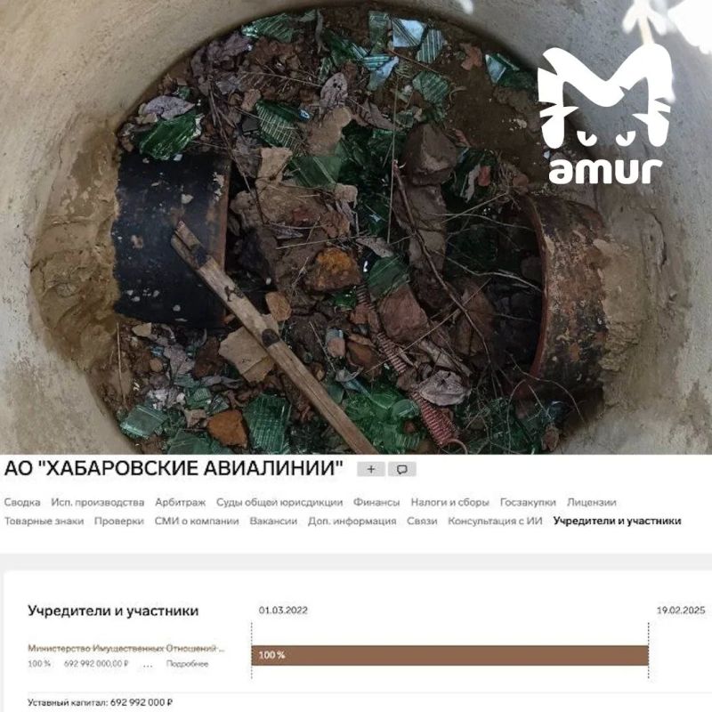Авиакомпанию, принадлежавшую министерству Хабаровского края, поймали на загрязнении Амура