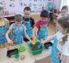 Воспитывать ученых с пеленок собираются в Хабаровском крае