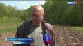 «Всё, чтобы озеленить наш город»: цветущие деревья выращивают в Хаблесхозе по поручению губернатора