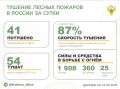 За прошедшие сутки в 23 регионах России потушили 41 лесной пожар