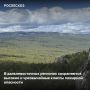 За сутки в России потушили 41 лесной пожар на площади 11,3 тыс