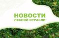 AmurMedia: � ����������� ���� ������������� �������� 30 �����������-�������� ����������