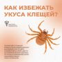 Что делать, если укусил клещ?