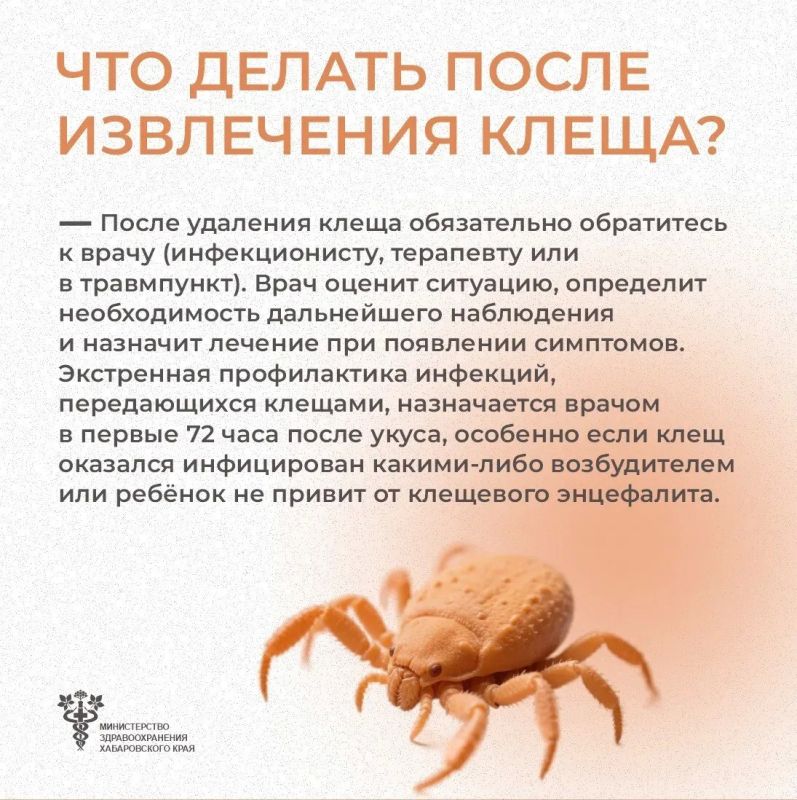 Что делать, если укусил клещ? Что делать, если укусил клещ?