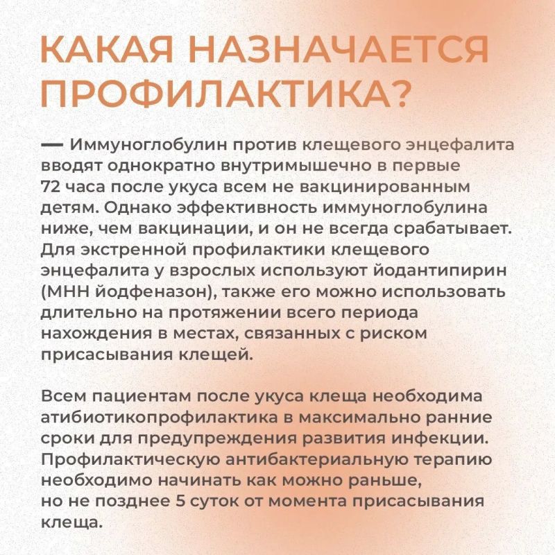 Что делать, если укусил клещ? Что делать, если укусил клещ?