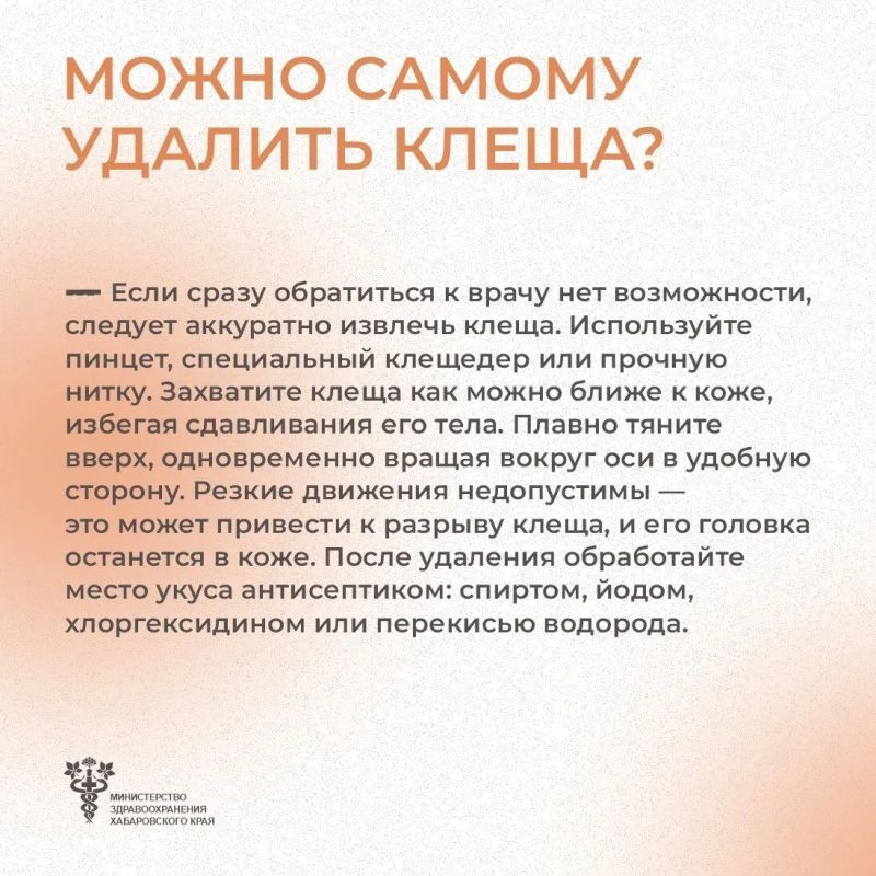 Что делать, если укусил клещ? Что делать, если укусил клещ?