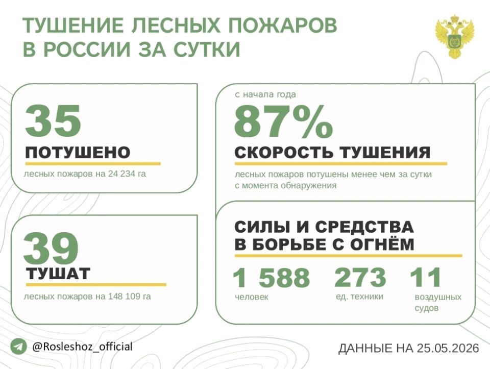 За прошедшие сутки в 15 регионах России потушили 35 лесных пожаров