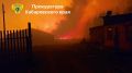 В Хабаровском крае прокуратурой организована проверка по факту пожара на землях лесного фонда