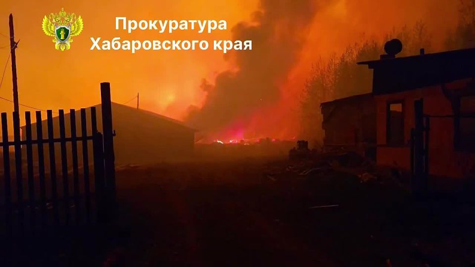 В Хабаровском крае прокуратурой организована проверка по факту пожара на землях лесного фонда