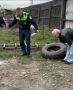 В Чегдомыне сотрудники ДПС застрелили собаку, мешавшую искать труп
