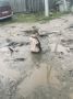 В Приамурье мальчика засосало в грязь посреди двора
