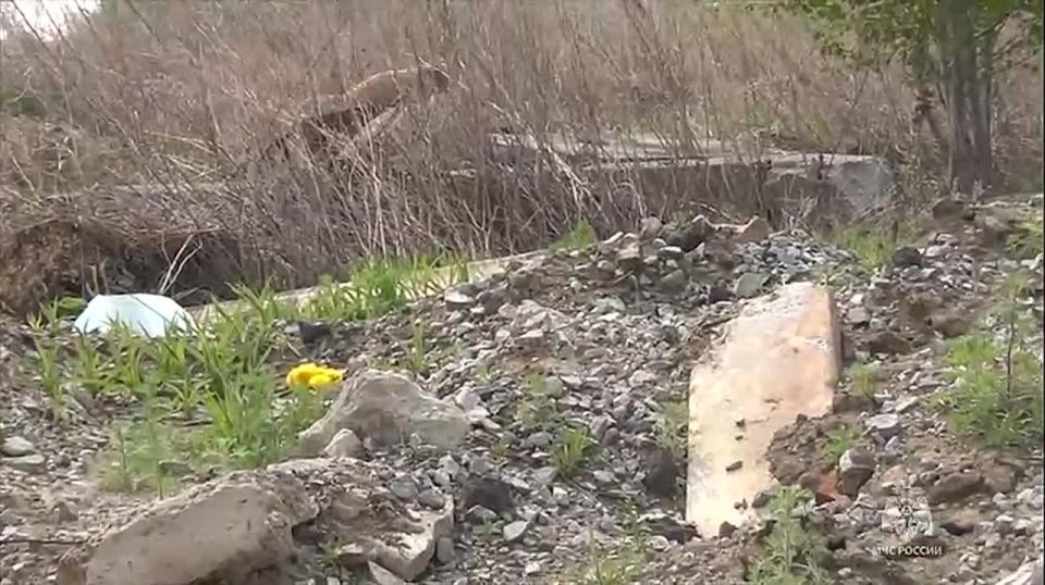 В Хабаровском крае прошла аттестация кинологов МЧС России из регионов ДФО