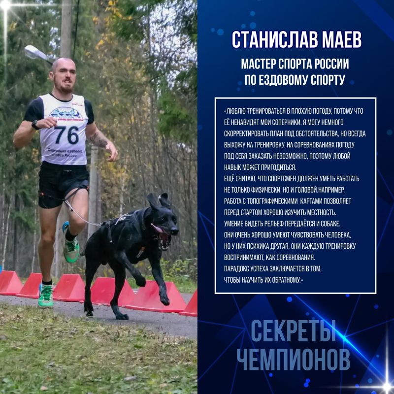 Секреты успеха Станислава Маева